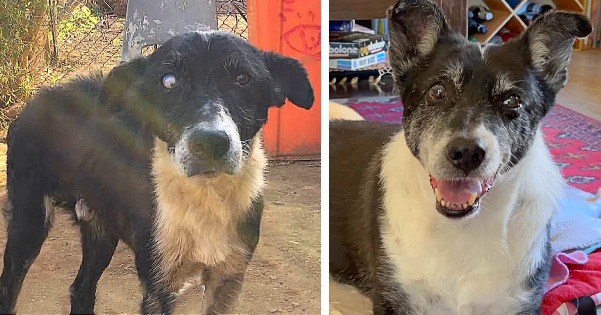 What many people overlook is that those ...