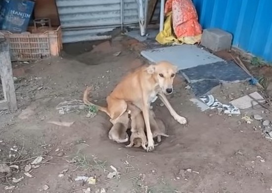 Compelled to make a difference, the acti...