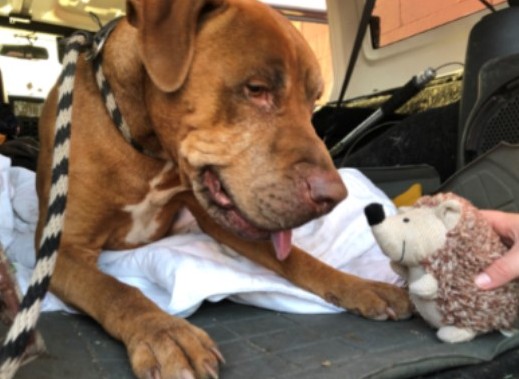 Extra image from article