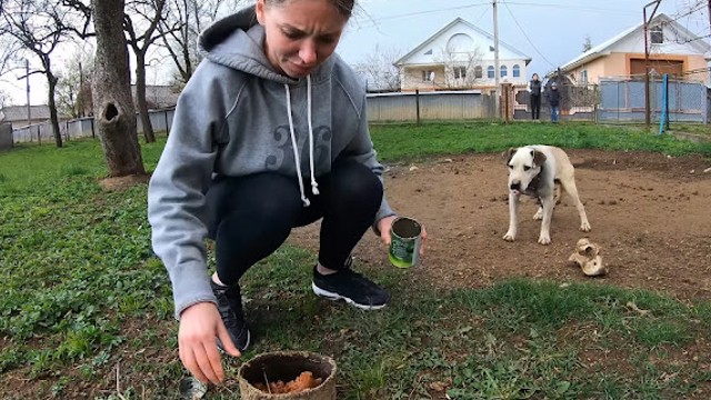 Extra image from article