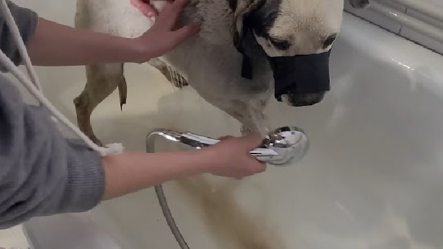 Extra image from article