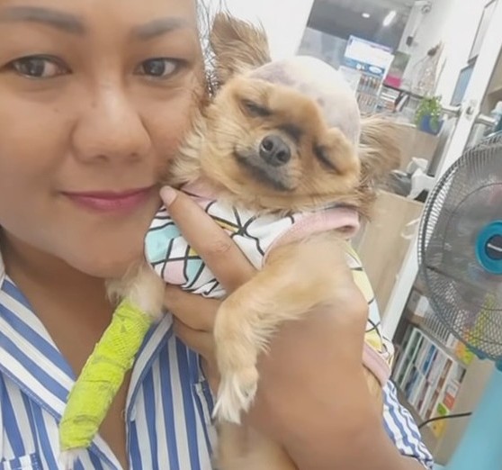 Extra image from article