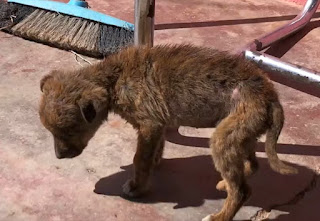 For the first time, she experienced the ...