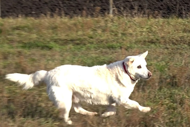 Extra image from article