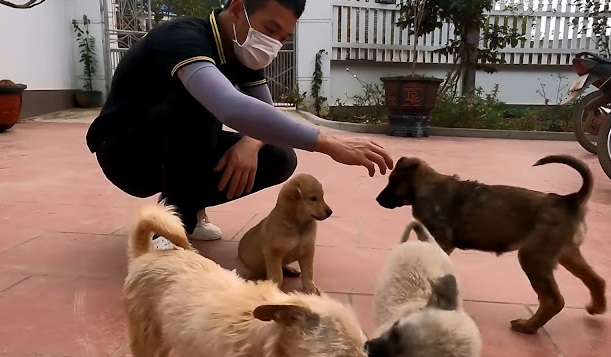 Extra image from article