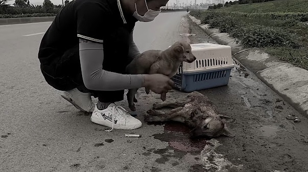 Extra image from article