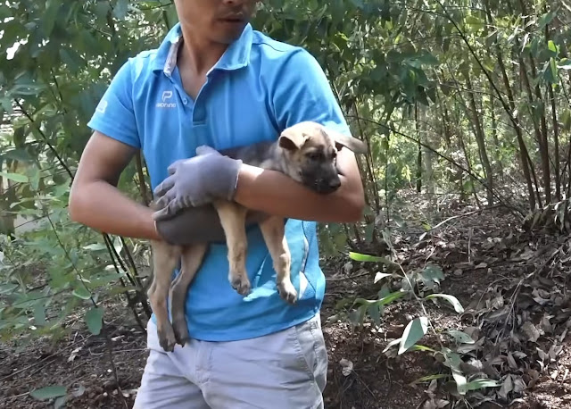 Extra image from article