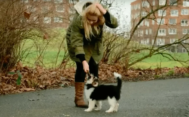 The rescuers met Joy’s new parents in Vi...