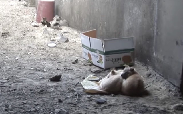 Consider spreading the word by sharing t...