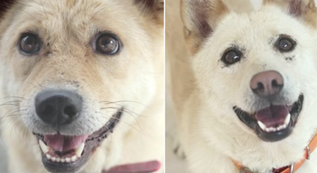 Extra image from article