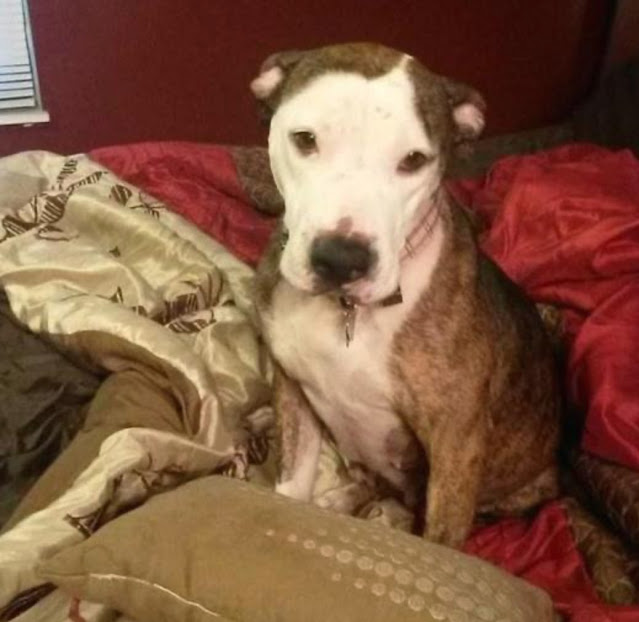 Extra image from article