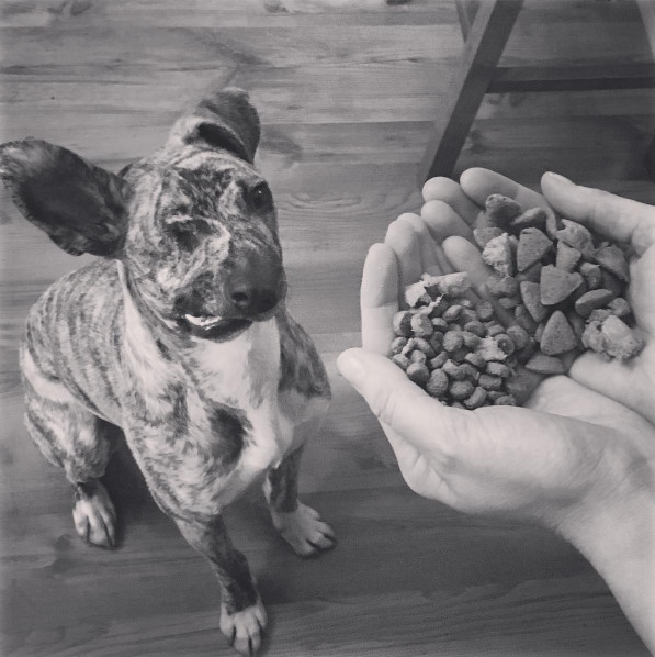 As Squish's prospects dimmed, those who ...