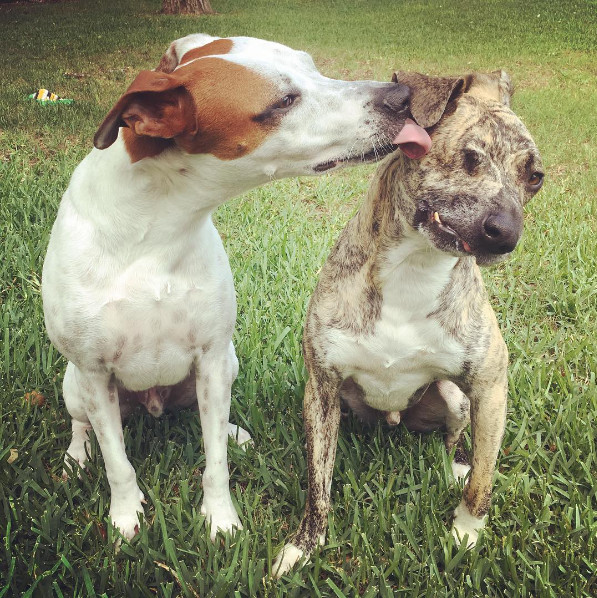 Once at Danielle's home, Squish displaye...