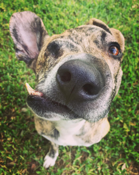 The surgery was a triumph, allowing Squi...