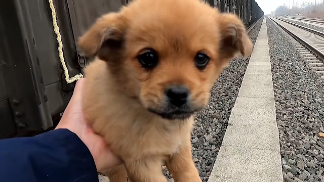 Extra image from article