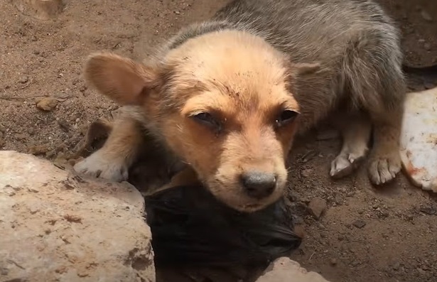 While Gunnar might not have been conside...