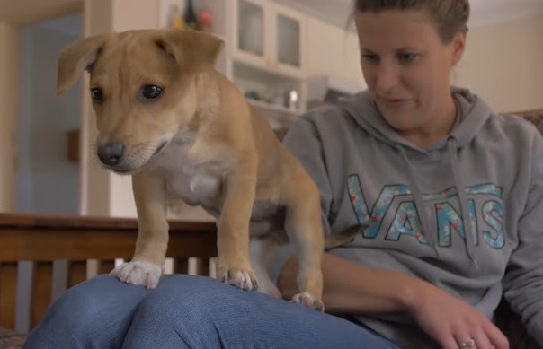 Extra image from article