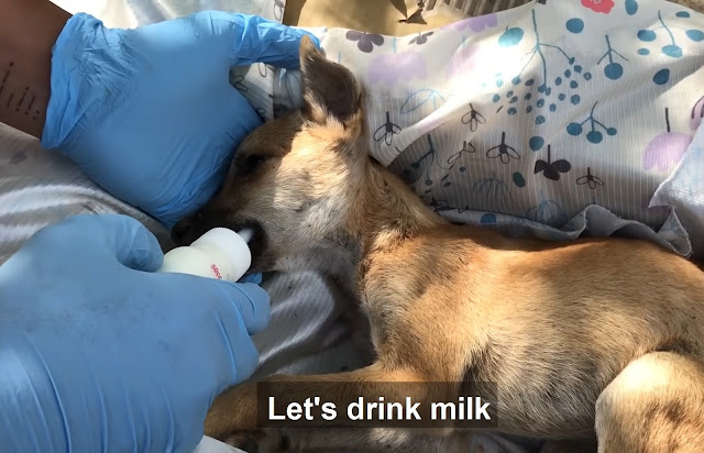 After a month of care and patience, she ...