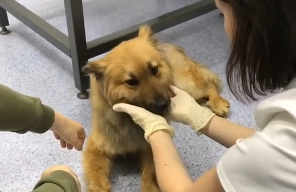 Extra image from article