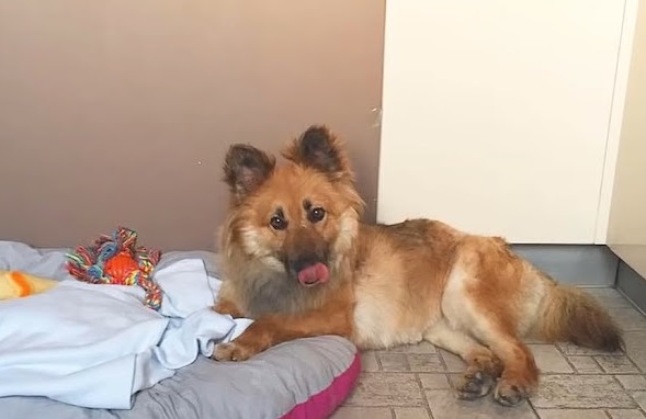 Extra image from article