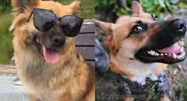 Extra image from article