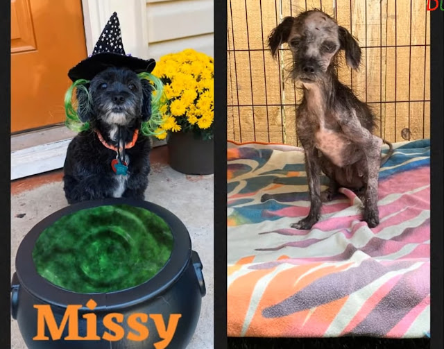 Extra image from article