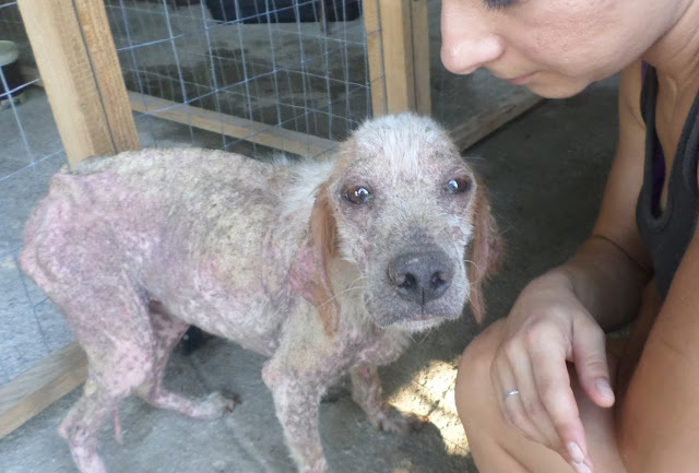 Nelson's story has a happy ending that’s...