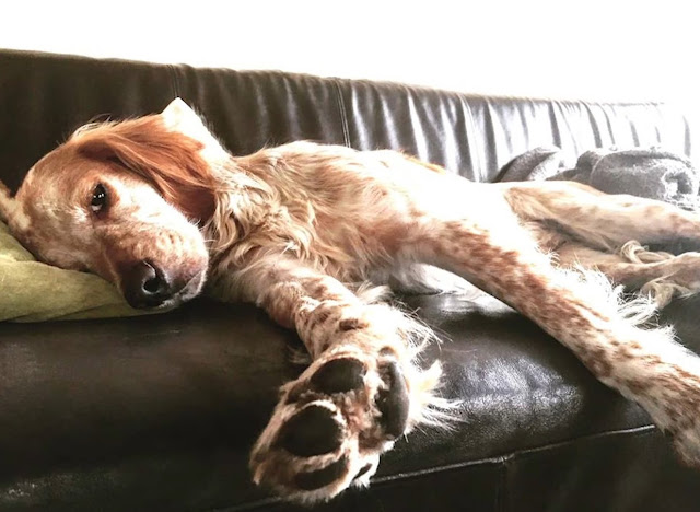 Extra image from article