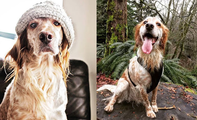 Extra image from article