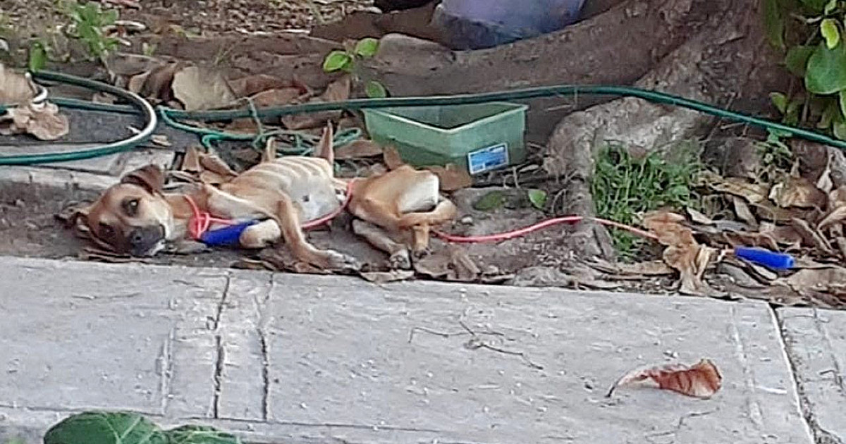 Despite this, someone took it upon thems...