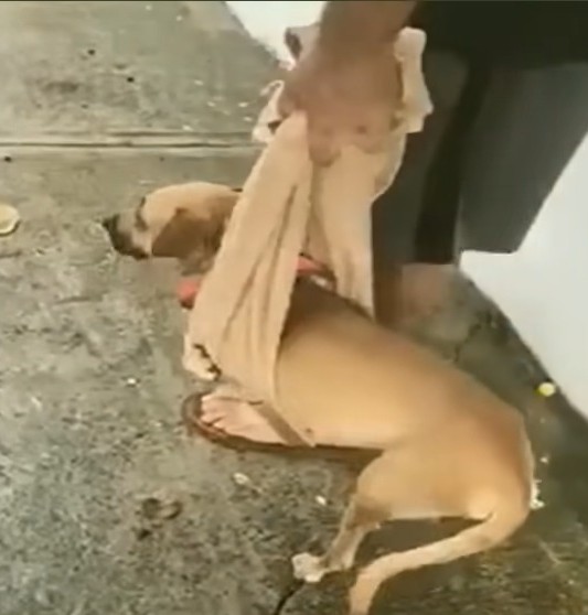 Feel free to share Eva's incredible stor...