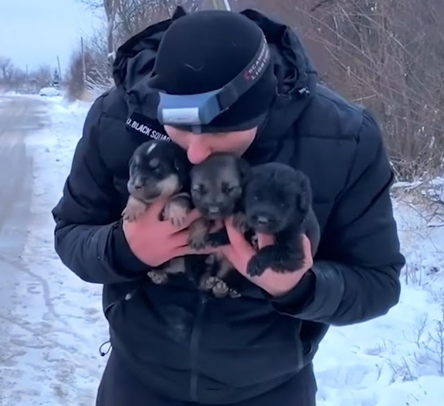 Extra image from article