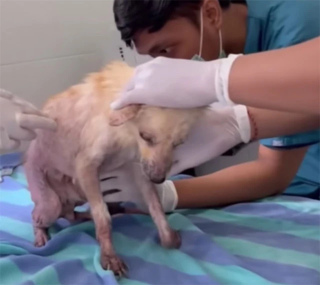 Four days later, Hope was stable enough ...