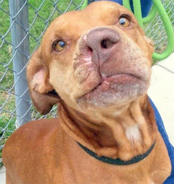 Extra image from article