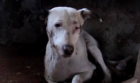 Extra image from article