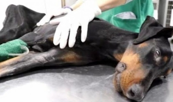 Over the ensuing months, Nancy underwent...