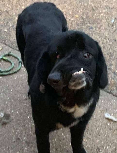 For now, Bethany waits patiently at the ...