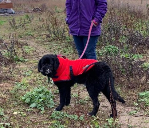 Extra image from article