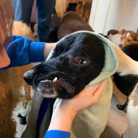 Extra image from article