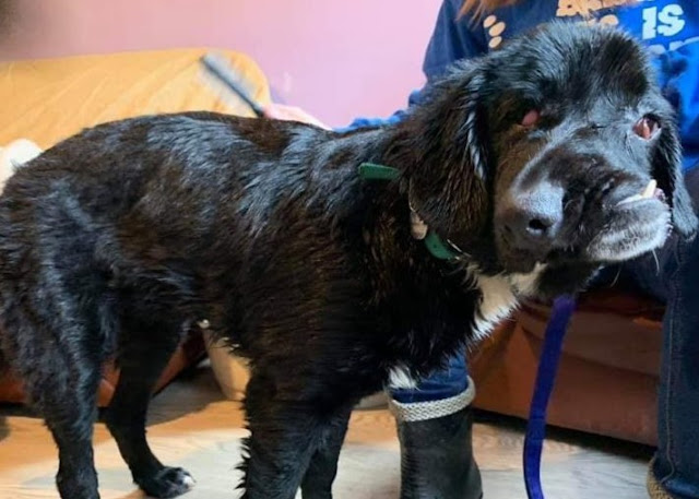 Regrettably, societal focus often leans ...