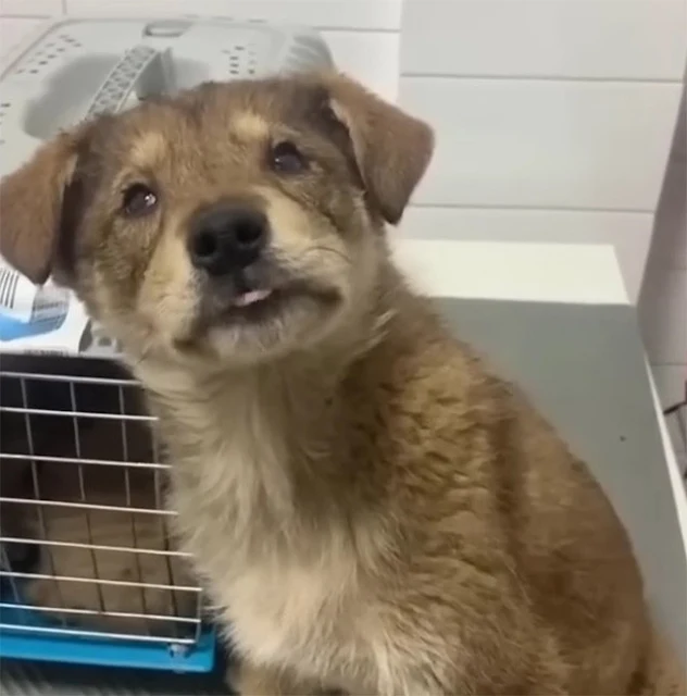 What happened next was extraordinary. As...