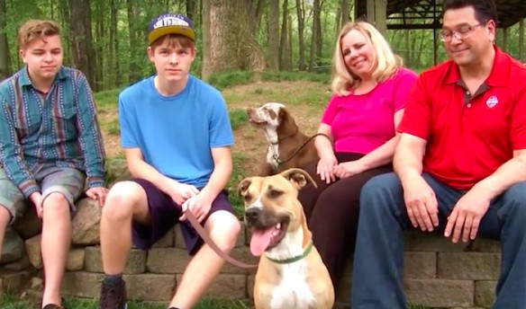 Extra image from article