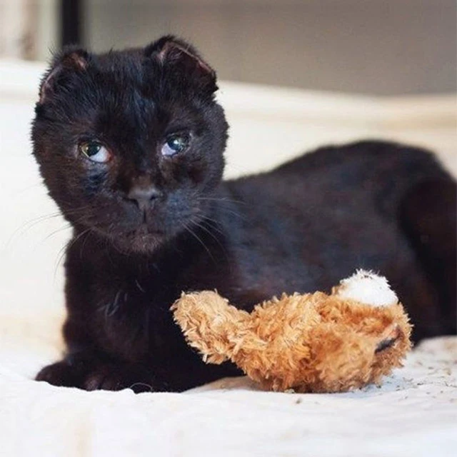 Courage had a routine of visiting this m...