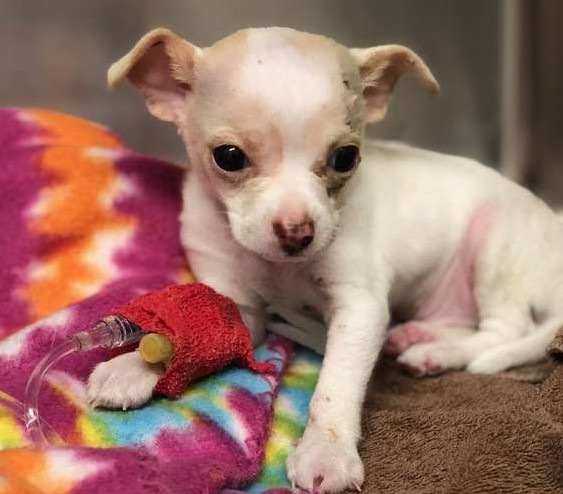 Tony's origins remain a mystery, with no...