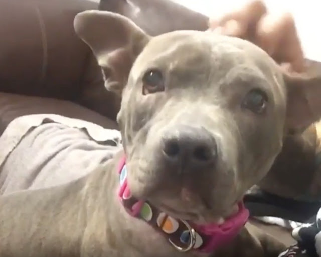 Her transformation is documented in a vi...