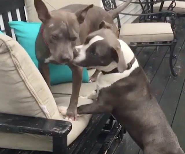 Extra image from article