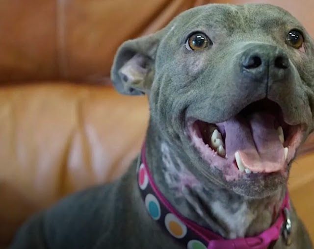 Extra image from article