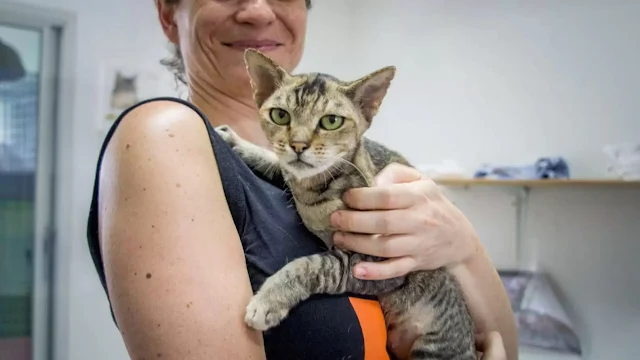 Two months post-rescue, Rose’s transform...