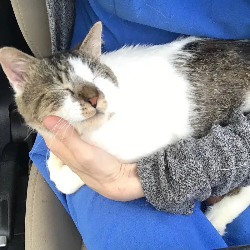 With Otto's health restored, he's schedu...