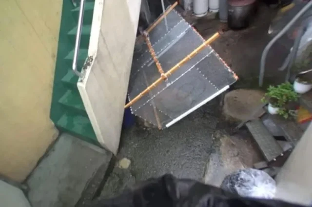 Finally, after ten long hours, the cat r...
